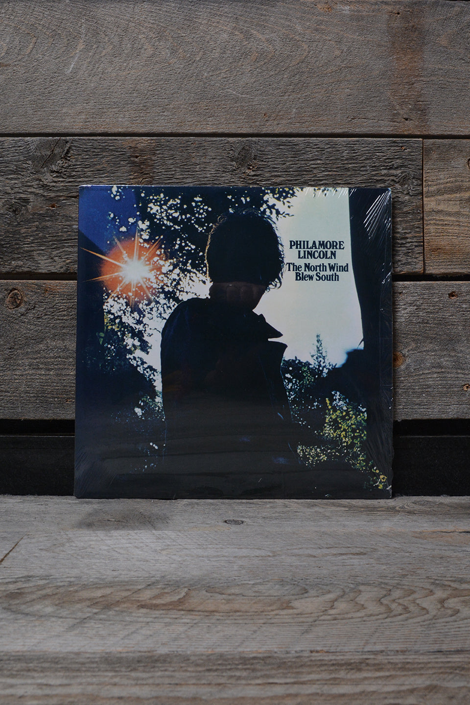 The North Wind Blew South|PHILAMORE LINCOLN